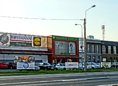 Osielsko galeria handl 2 07-2014