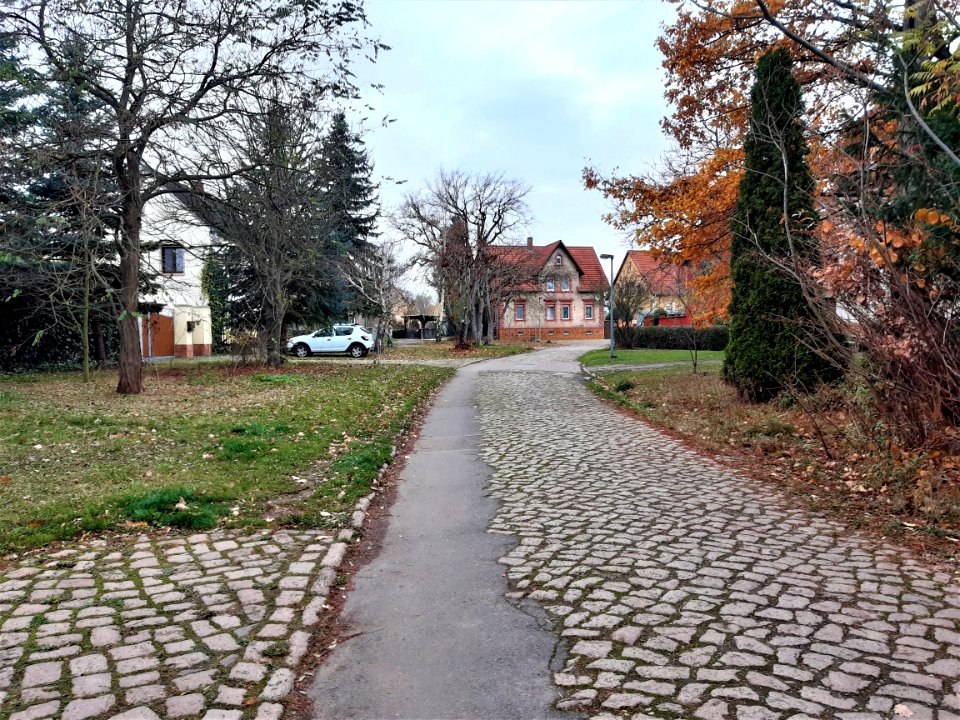 Osendorf Wilhelm-Grothe-Straße (2)