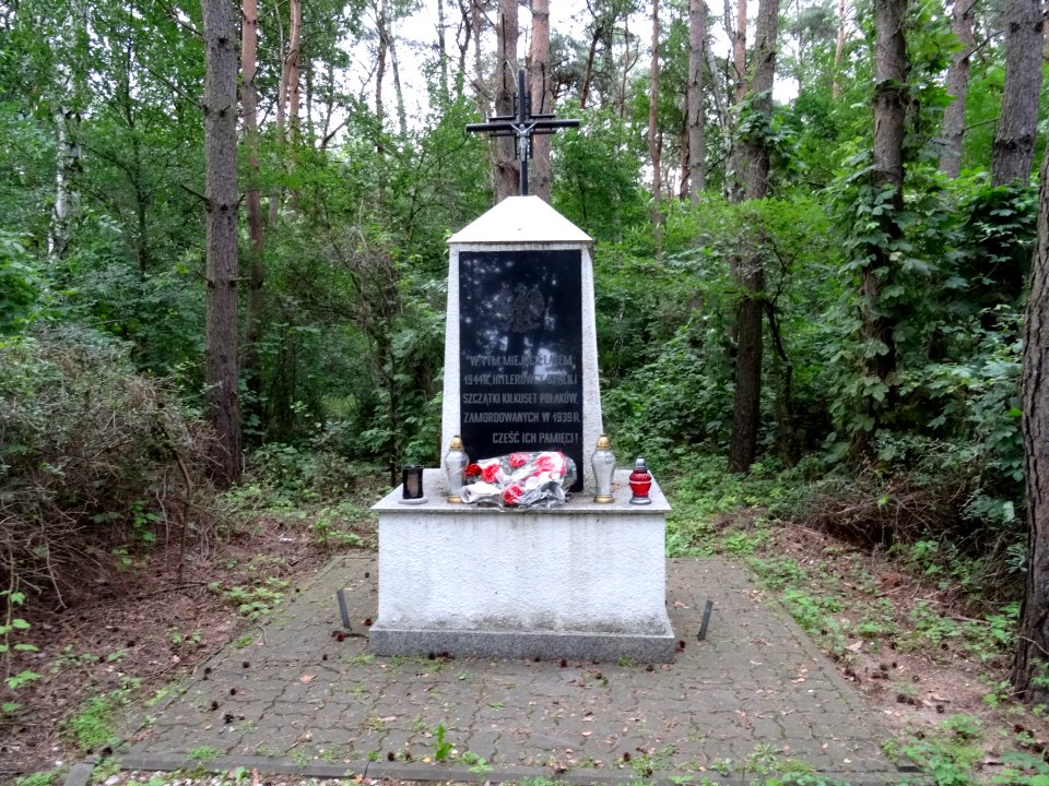 Otorowo pomnik 1 7-2015