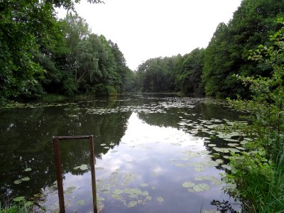 OtorowskaStruga staw3 2 7-2015