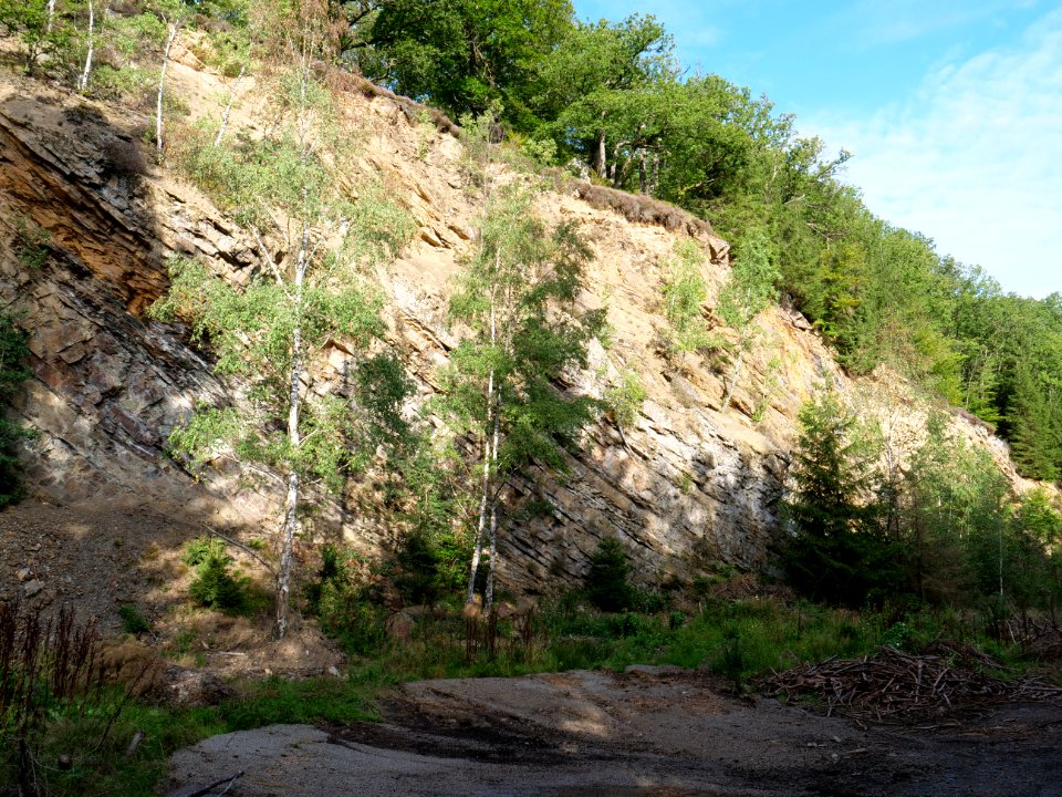 Osthertogenwald 51