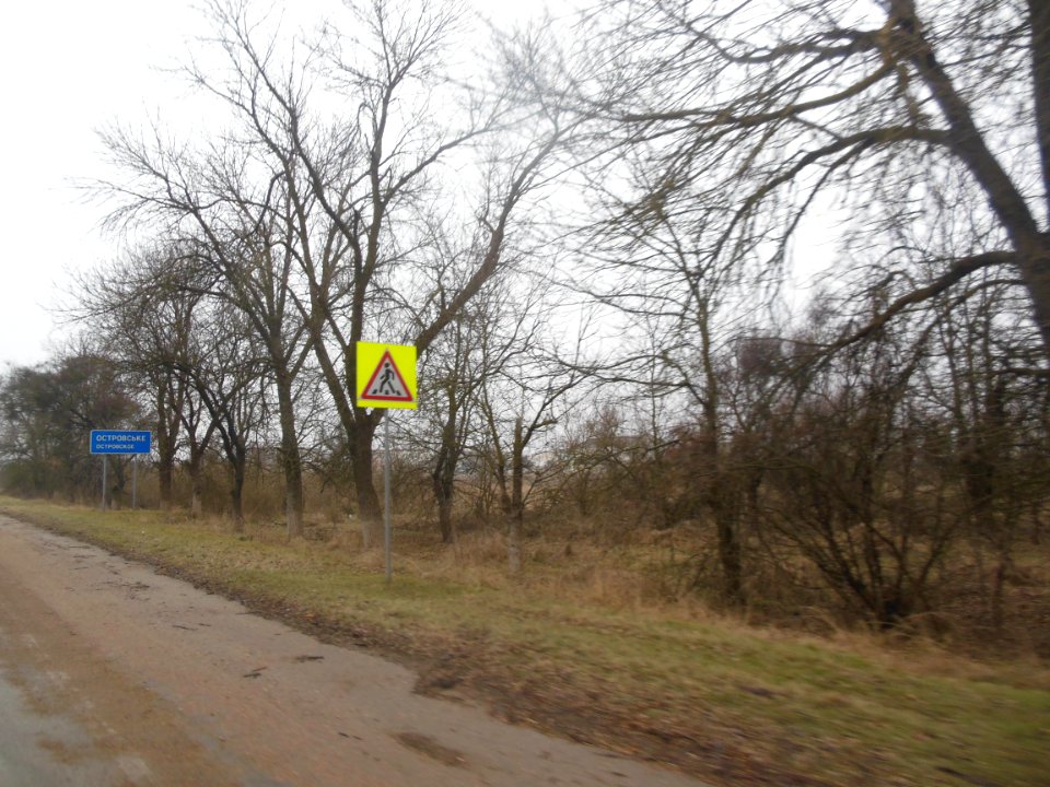 OstrovskoeDz 1