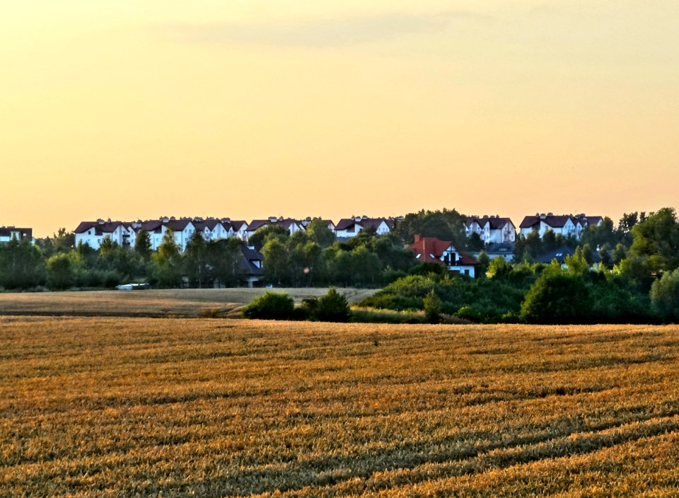 Osielsko 1 07-2014