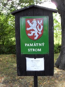 OSELCE - památná lípa (cedulka)