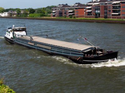 Ostrea - ENI 02304217, Amsterdam-Rijnkanaal pic3