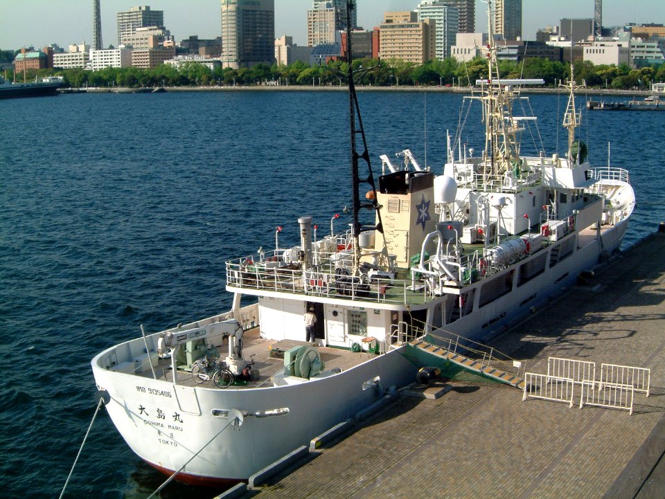 Oshima maru 1996 at Yokohama Osanbashi 20100508 back