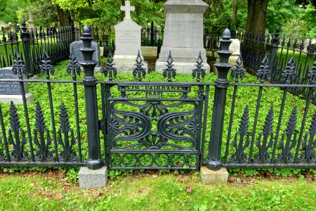 Otis Fairbanks fence - Mount Auburn Cemetery - DSC04152