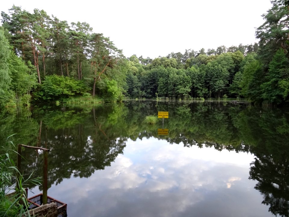 OtorowskaStruga staw1 3 7-2015