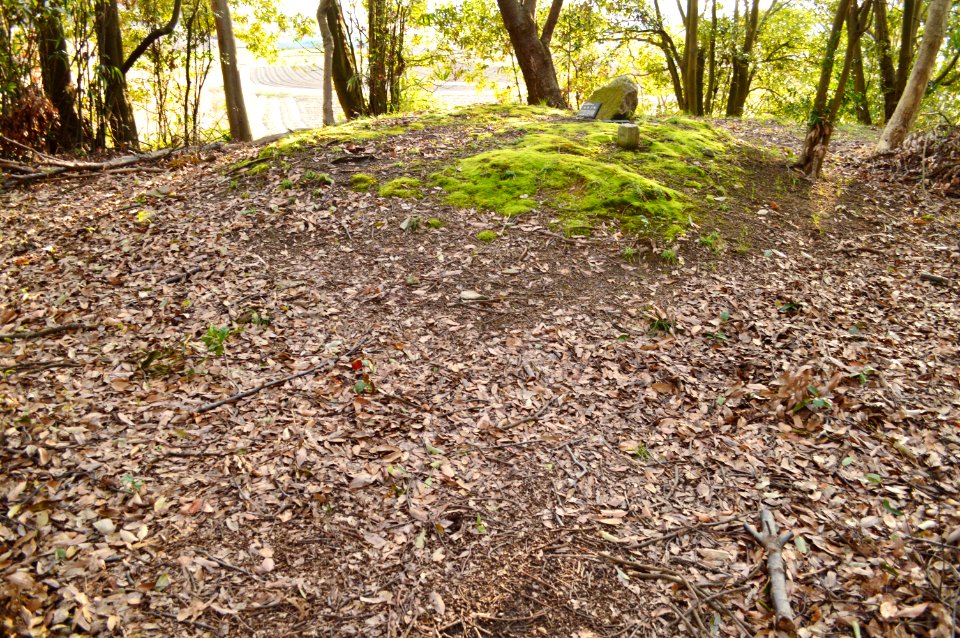 Otsukayama Kofun (Yasu), funcho