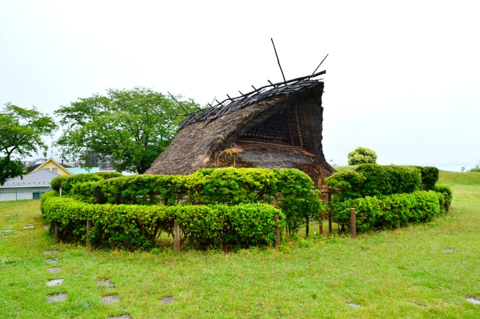 Otoshiyama Site (Kobe), tateana-tatemono