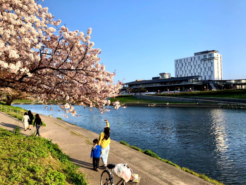 Oto-Riverside-Terrace-1