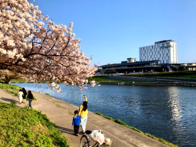Oto-Riverside-Terrace-1