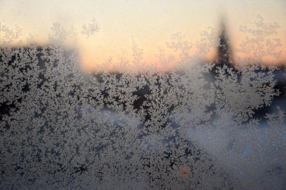 Wintry hoarfrost cold