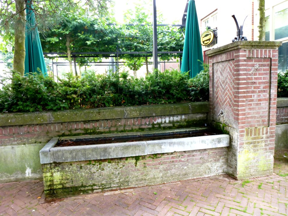 Oss (NL) Eikenboomgaard bij 10 pomp met drinkbak (02)