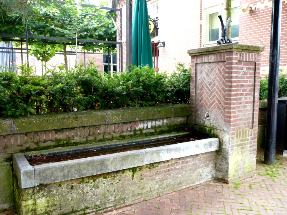 Oss (NL) Eikenboomgaard bij 10 pomp met drinkbak (01)
