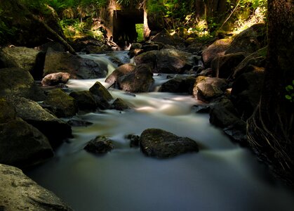 Sweden water courses forest photo
