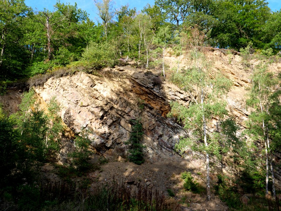 Osthertogenwald 49