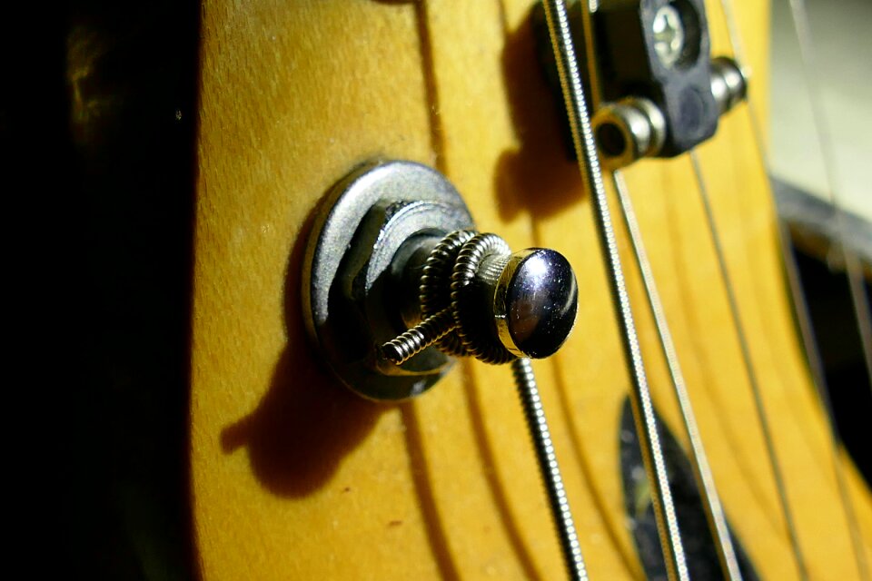 Strings instrument music