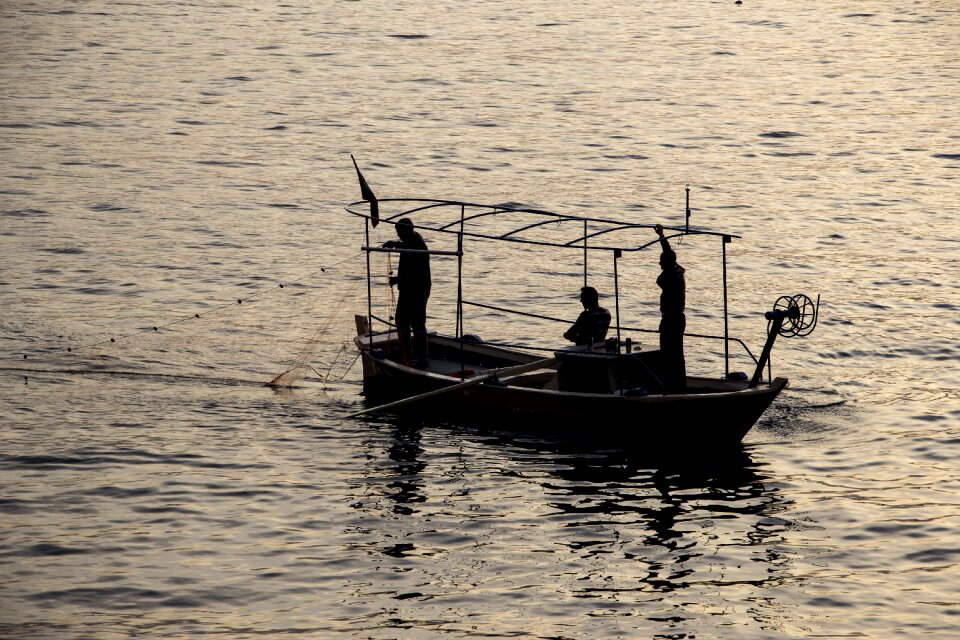 Fishing catch activity