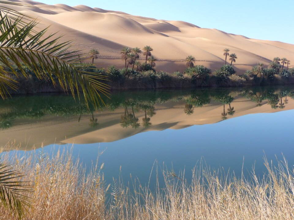 Rest mirroring desert