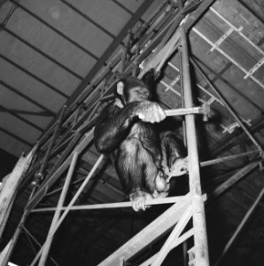 Opdracht Suetens Staalconstructiefabriek Eindhoven, Bestanddeelnr 915-6376