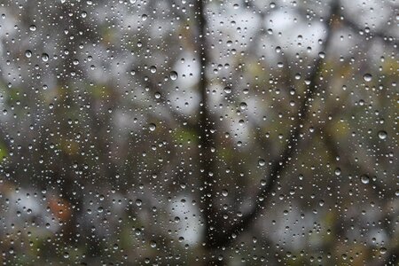 Wet sad quiet