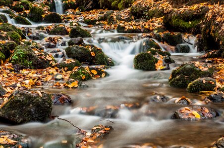 Waterfall november leaves photo