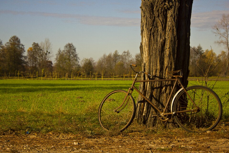 Village poland nature