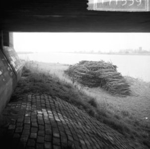Opdracht reportage over plaatsje Elburg, Bestanddeelnr 917-1539