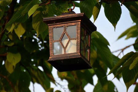 Lampion candle light tree photo