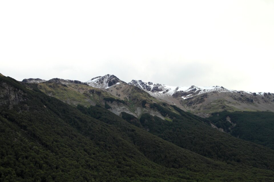 Wild mountain nature