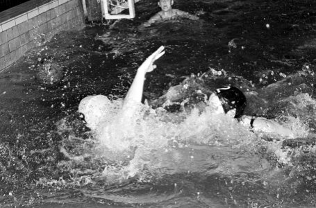 Opdracht NTS, waterpolo (dames), Bestanddeelnr 920-2481