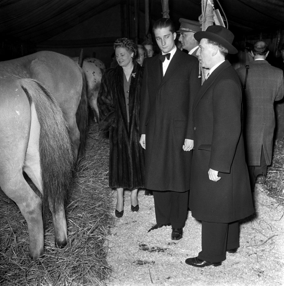 Opdrachten Circus Mikkenie Brussel, Bestanddeelnr 905-4912