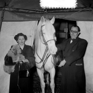 Opdrachten Circus Mikkenie Brussel, Bestanddeelnr 905-4922