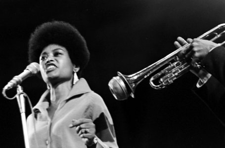 Opdracht Parool, Abbey Lincoln (jazz-zangeres), Bestanddeelnr 919-3554