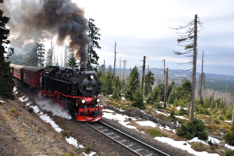 Winter rails resin