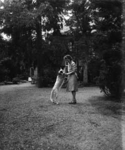 Opdracht Mevrouw Jansen Baarn, Bestanddeelnr 902-9192