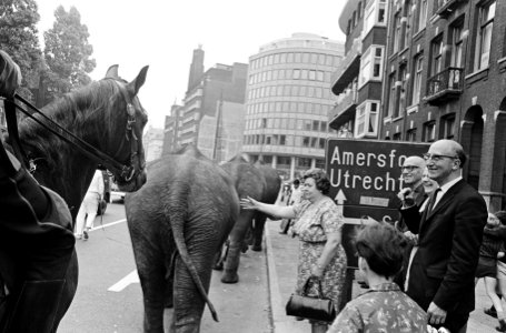 Opdracht persdienst Circus Heros, Bestanddeelnr 919-2673