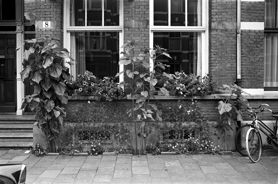Opdracht Philips Persbureau bij Galerie Swart, Bestanddeelnr 925-7875