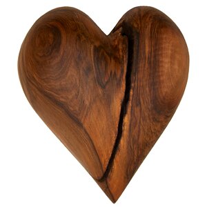 Wood nature wooden treasure