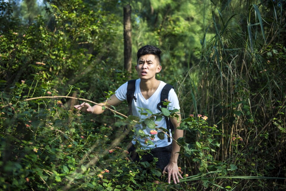 Forest get lost schoolboy