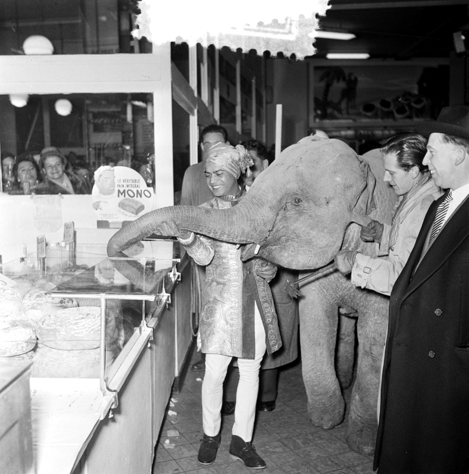 Opdrachten Circus Mikkenie Brussel, Bestanddeelnr 905-4903