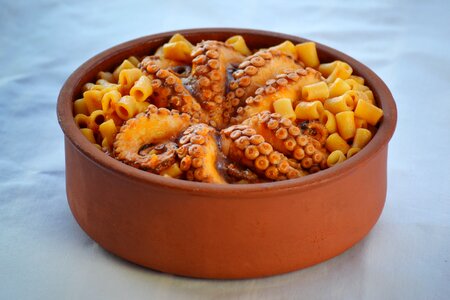 Dish meal greek