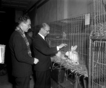 Opdracht Aalsmeerder Courant Pluimveetentoonstelling, Bestanddeelnr 904-9220