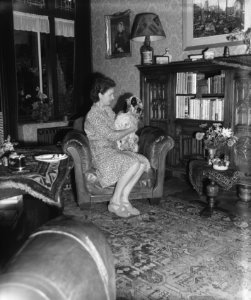 Opdracht Mevrouw Jansen Baarn, Bestanddeelnr 902-9190