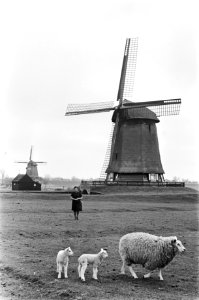 Opdracht New Yorki Times , vrouw in molen in Schermerhorn, Bestanddeelnr 928-5345