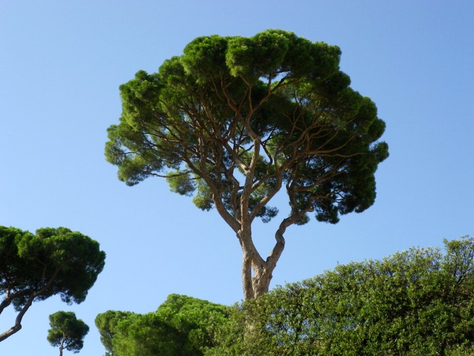 Mediterranean sky rome