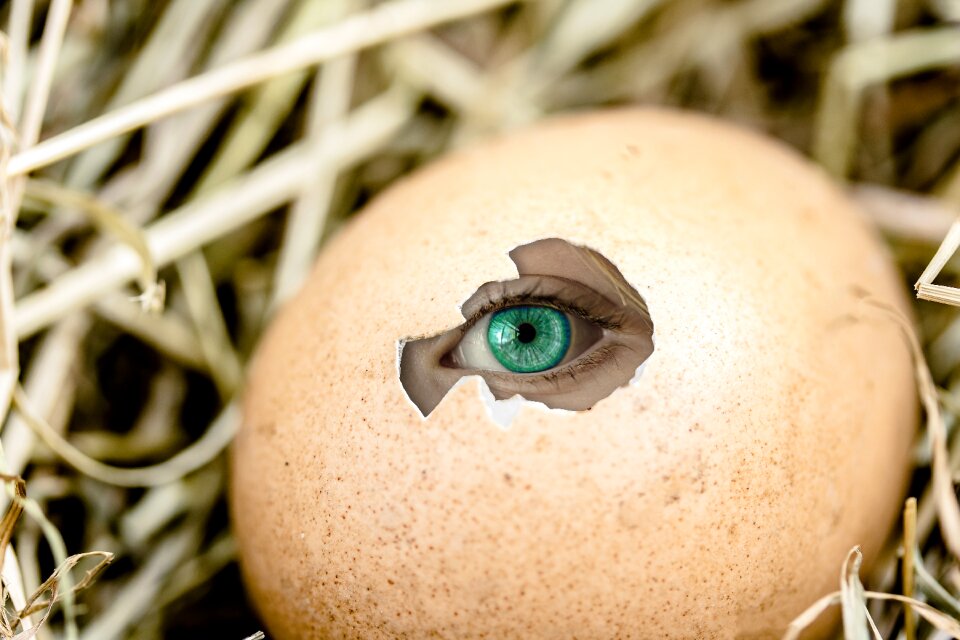 Emergence hole view