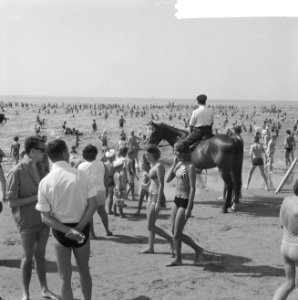 Opdracht Arnhemse Courant 1000 kinderen in Zandvoort, aan het strand, Bestanddeelnr 916-6470