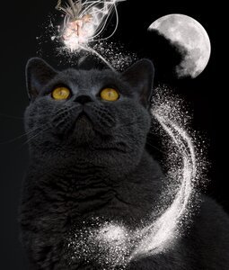 Moon dark night
